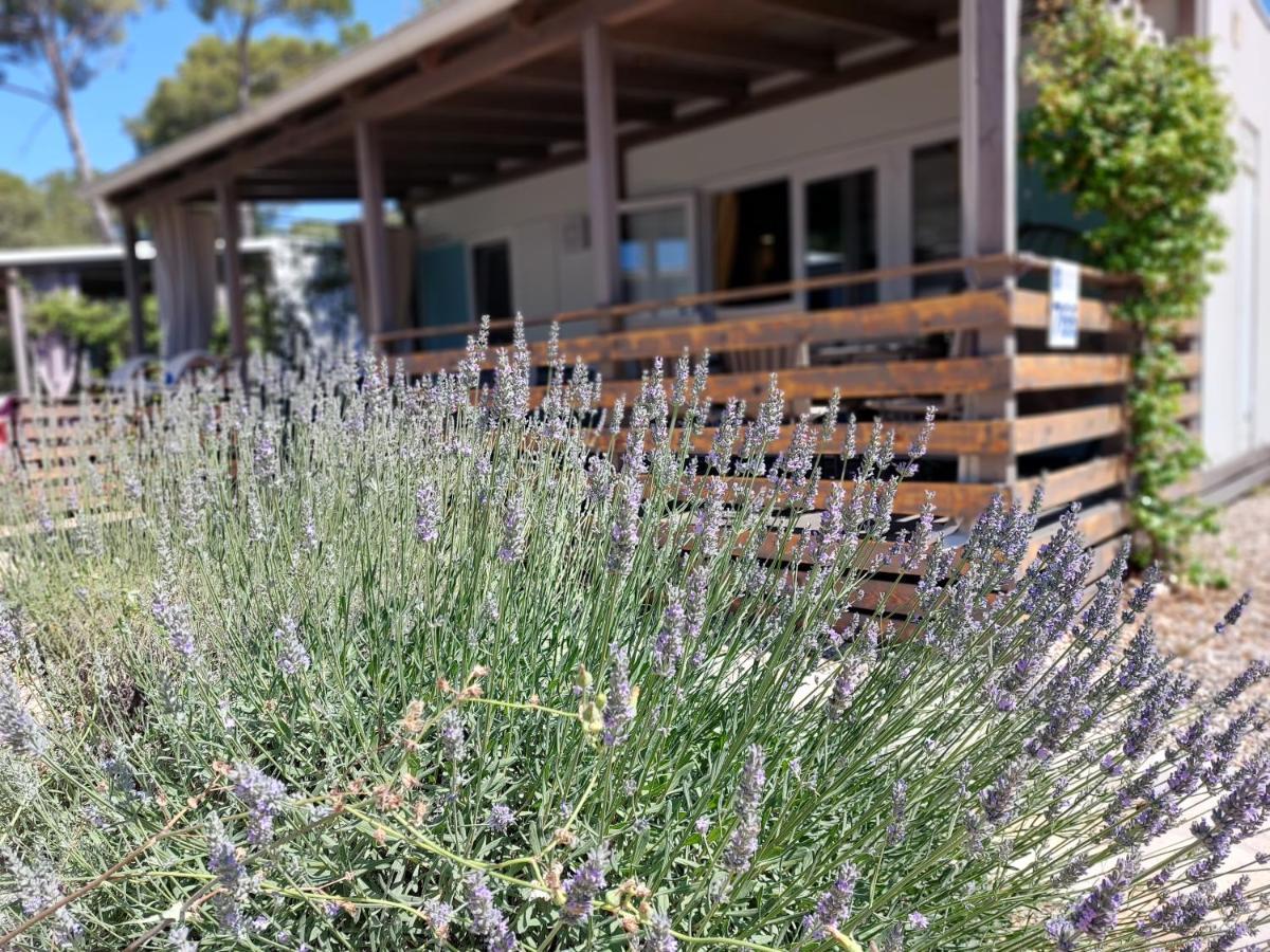 Holiday Homes Lavanda - Biograd Na Moru Exterior foto